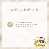 シンプリス ザ バランス ネンマク ケア プラス