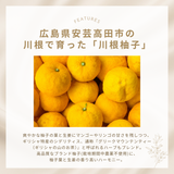 広島・川根柚子ブレンドハーブティー（5包ティーバッグ）