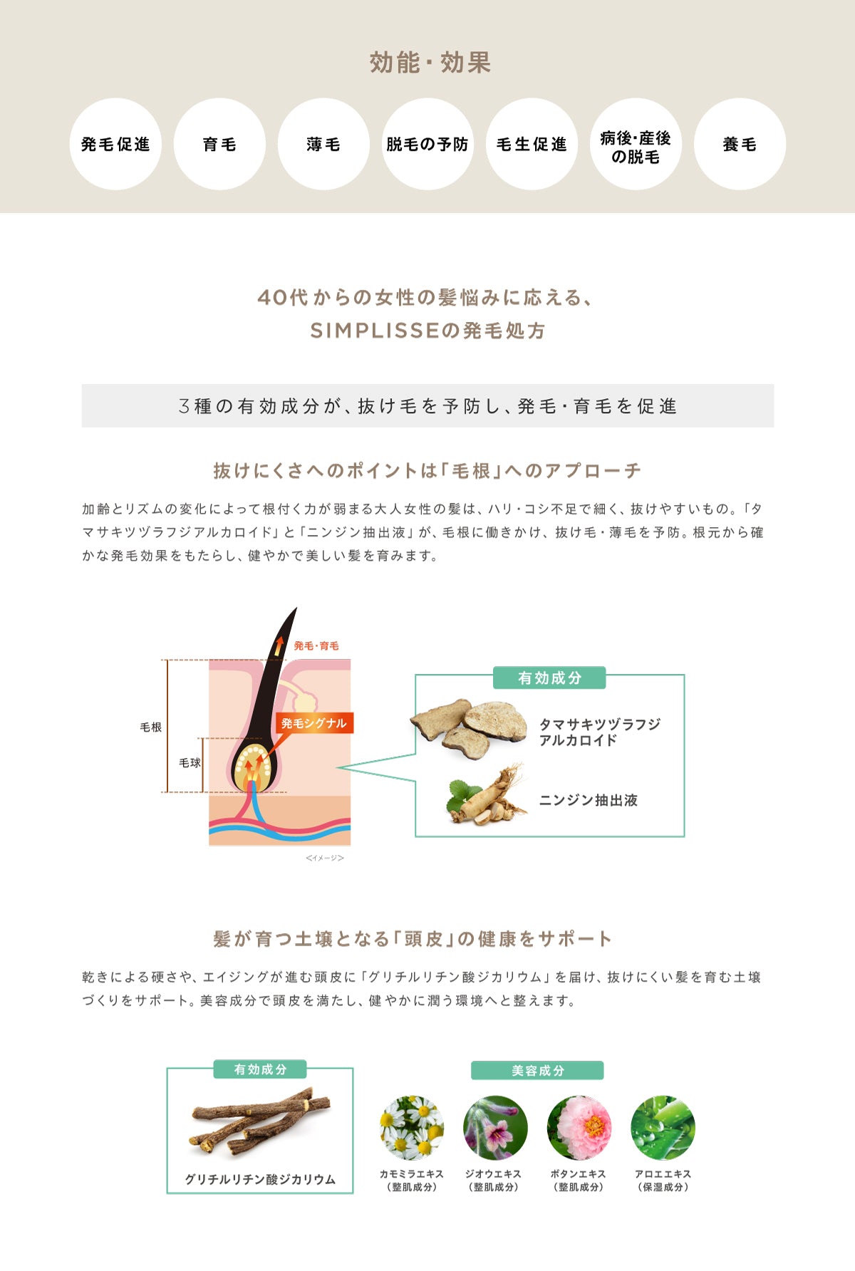 シンプリス 薬用 育毛 リッチヘア セラム – FEMTECH LAB